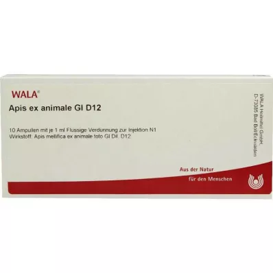 APIS EX animale GL D 12 ampullen, 10X1 ml