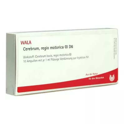 CEREBRUM REGIO motorica GL D 6 ampullen, 10X1 ml CEREBRUM REGIO motorica GL D 6 ampullen, 10X1 ml