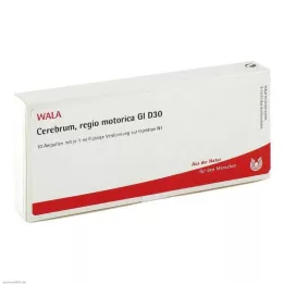 Cerebrum Regio Motor GL D 30 ampullen, 10X1 ml