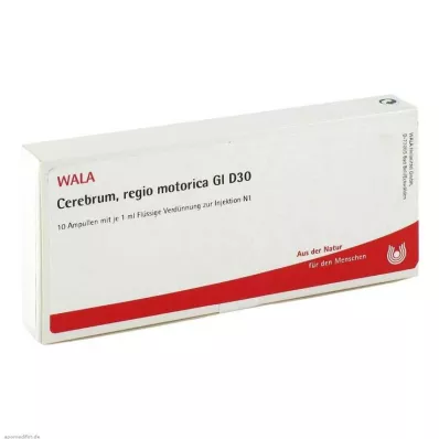 CEREBRUM REGIO motorica GL D 30 ampullen, 10X1 ml