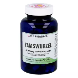 YAMSWURZEL 500 mg GPH Capsules, 120 stuks