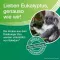 SOLEDUM Balsemvloeistof, 50 ml