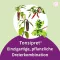 TONSIPRET Tabletten, 50 stuks