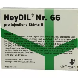 NEYDIL Nr.66 pro injectione St.2 Ampullen, 5X2 ml