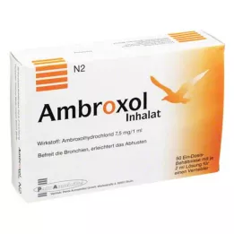 AMBROXOL Inhaleeroplossing voor een vernevelaar, 50X2 ml