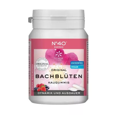 ENERGIE KAUGUMMI volgens Dr.Bach, 40 stuks