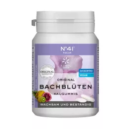 KONZENTRATION Kauwgom volgens Dr.Bach, 40 stuks