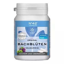 SELBSTVERTRAUEN Kauwgom volgens Dr.Bach, 40 stuks