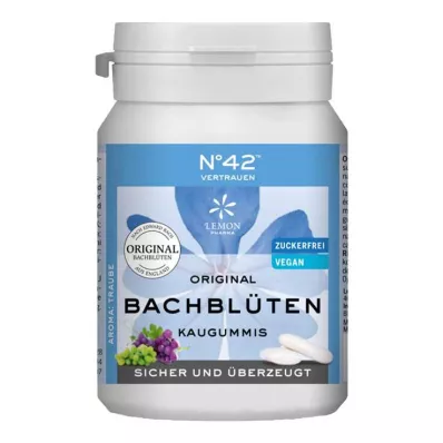 SELBSTVERTRAUEN Kauwgom volgens Dr.Bach, 40 stuks SELBSTVERTRAUEN Kauwgom volgens Dr.Bach, 40 stuks
