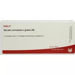 SECALE CORNUTUM E grano D 6 Ampullen, 10X1 ml