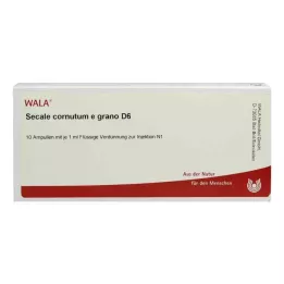 Secale Cornutum E Grano D6 ampullen (10x1 ml)