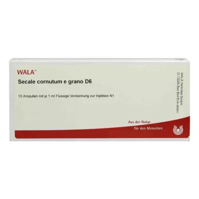 SECALE CORNUTUM E grano D 6 Ampullen, 10X1 ml