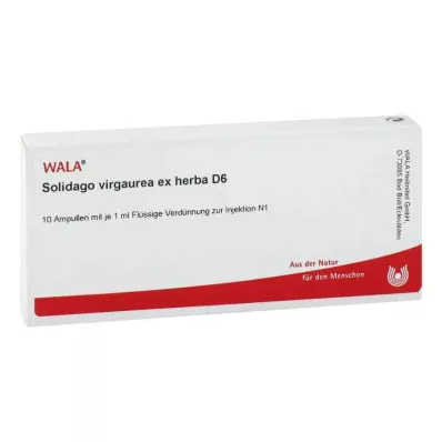 SOLIDAGO VIRGAUREA ex herba D 6 Ampullen, 10X1 ml