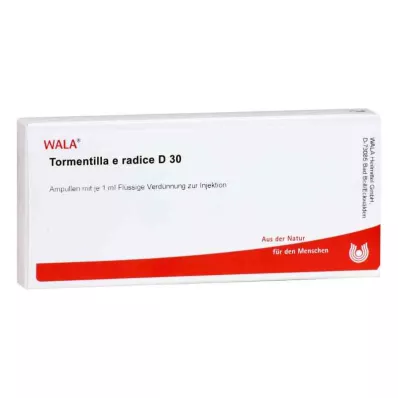 TORMENTILLA E radice D 30 Ampullen, 10X1 ml