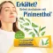 PINIMENTHOL Verkoudheidszalf Eucal./Pine./Menth., 100 g