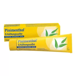 PINIMENTHOL Verkoudheidszalf Eucal./Pine./Menth., 100 g