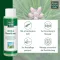 ALLGÄUER LATSCHENK. Arnica extra sterk smeersel, 250 ml