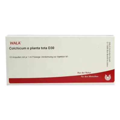 COLCHICUM E planta tota D 30 Ampullen, 10X1 ml COLCHICUM E planta tota D 30 Ampullen, 10X1 ml