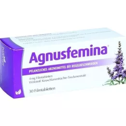 AGNUSFEMINA 4 mg filmomhulde tabletten, 30 stuks