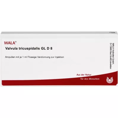 VALVULA tricuspidalis GL D 8 ampullen, 10X1 ml