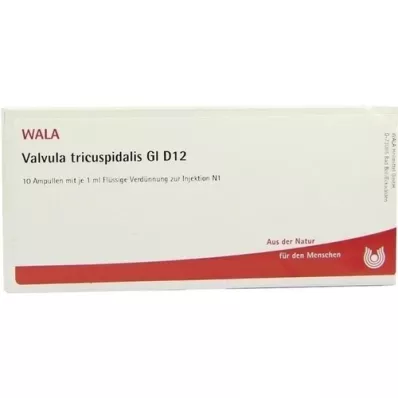 VALVULA tricuspidalis GL D 12 ampullen, 10X1 ml