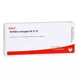 Vertebra Coccygea Gl D12 ampullen (10x1 ml)