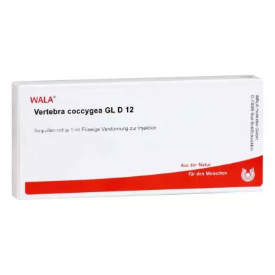VERTEBRA coccygea GL D 12 ampullen, 10X1 ml VERTEBRA coccygea GL D 12 ampullen, 10X1 ml