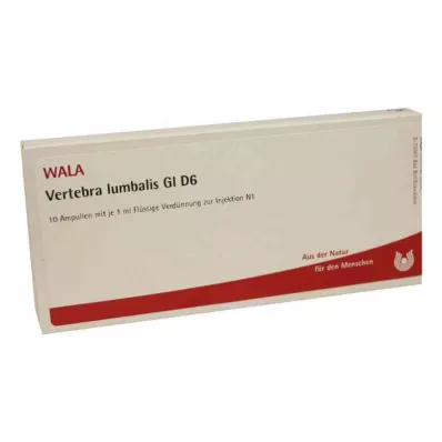VERTEBRA lumbalis GL D 6 ampullen, 10X1 ml VERTEBRA lumbalis GL D 6 ampullen, 10X1 ml