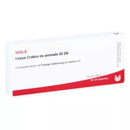 Vespa Crabro Ex Animale Gl D6 ampullen (10x1 ml)