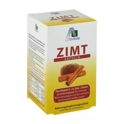 ZIMT KAPSELN 500 mg+vitamine C+E, 120 st