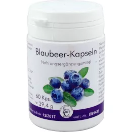 BLAUBEER Capsules, 60 stuks