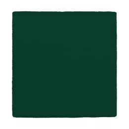 MULLKOMPRESSEN 10x10 cm 12x groen, 100 stuks
