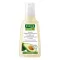 RAUSCH Avocado Kleurbeschermingsshampoo, 200 ml