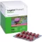 LEGALON Protect Madaus harde capsules, 100 stuks