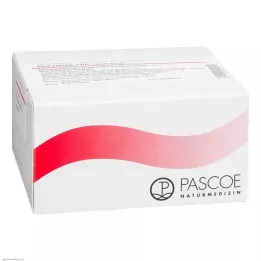 PECTAPAS CPL Injectopas ampullen, 100 stuks
