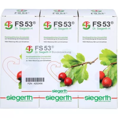 FS 53 Dr.Siegerth H vloeistof, 3X100 ml