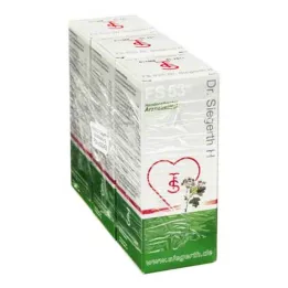 FS 53 Dr.Siegerth H vloeistof, 3X100 ml
