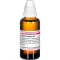 ARANEA DIADEMA D 6 Verdunning, 50 ml