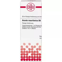 ARUNDO mauritanica D 6 Verdunning, 20 ml