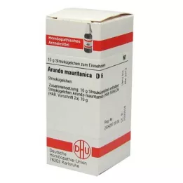 ARUNDO mauritanica D 6 bolletjes, 10 g