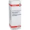 BELLIS PERENNIS D 2 Verdunning, 20 ml