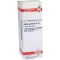 BELLIS PERENNIS D 12 Verdunning, 20 ml