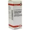 CALCIUM CARBONICUM Hahnemanni D 200 Verdunning, 20 ml