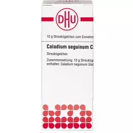 CALADIUM seguinum C 200 bolletjes, 10 g