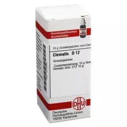 CLEMATIS D 12 bolletjes, 10 g