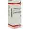 EQUISETUM ARVENSE D 6 Verdunning, 50 ml