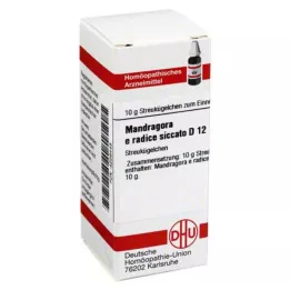 MANDRAGORA E radice siccata D 12 bolletjes, 10 g