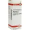 NUX VOMICA C 6 Verdunning, 20 ml