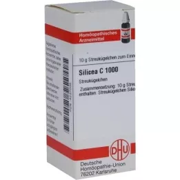 SILICEA C 1000 bolletjes, 10 g