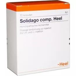 SOLIDAGO COMP.Hielampullen, 10 stuks